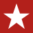 Logo Big Star